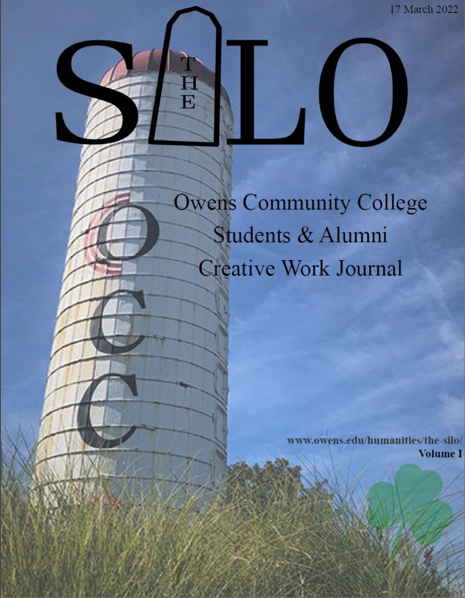 The Silo Volume 1