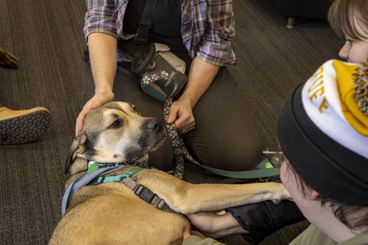 Jasper, the dog, being loved on by students during the PAWS event.