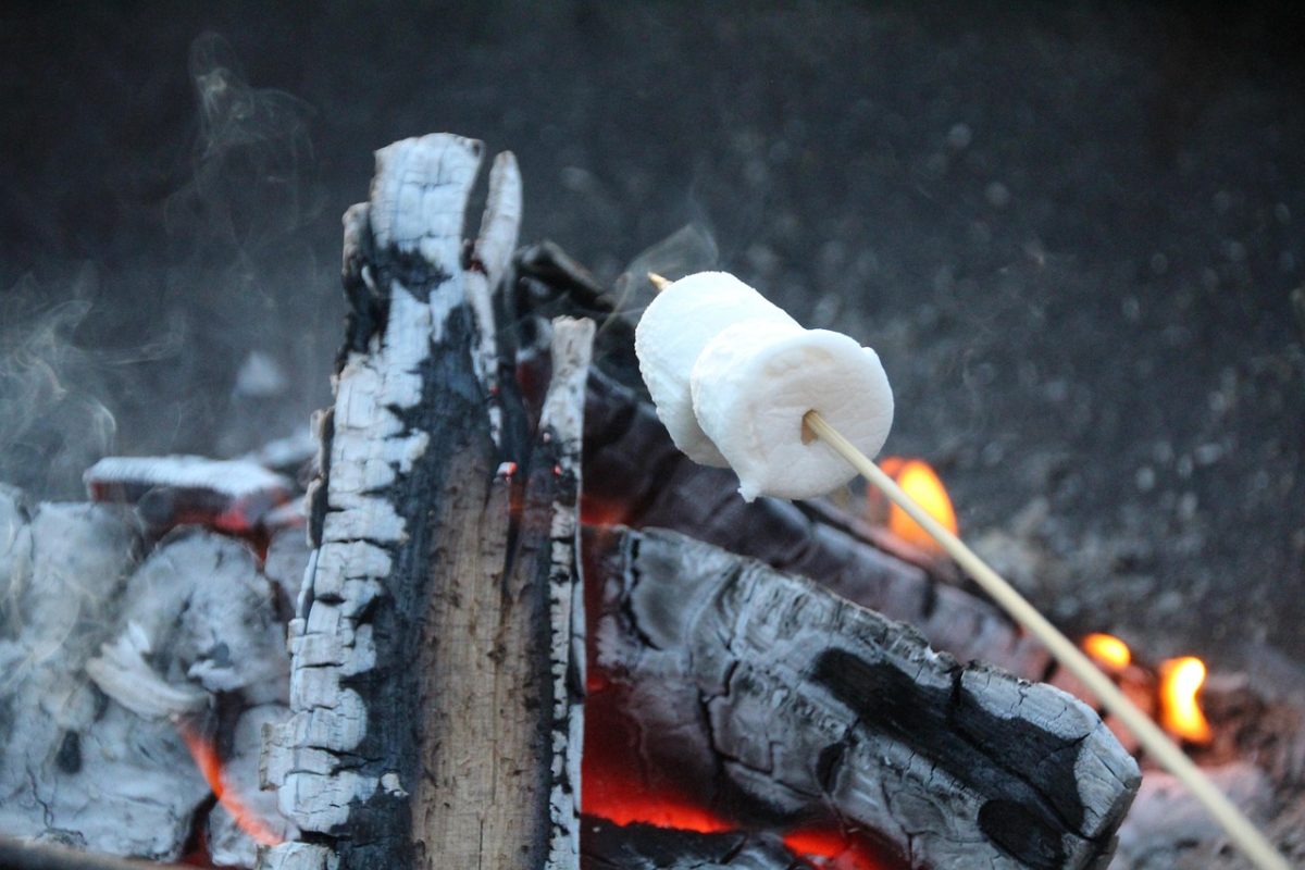 Yummmmm...a toasted marshmellow. Retrieved from Pixabay.