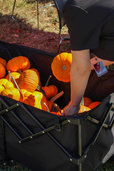 An Owens Med Student picking out the perfect pumpkin to paint.